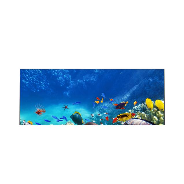 Smart Tv Hitachi 55" (Cdhle55) 4k