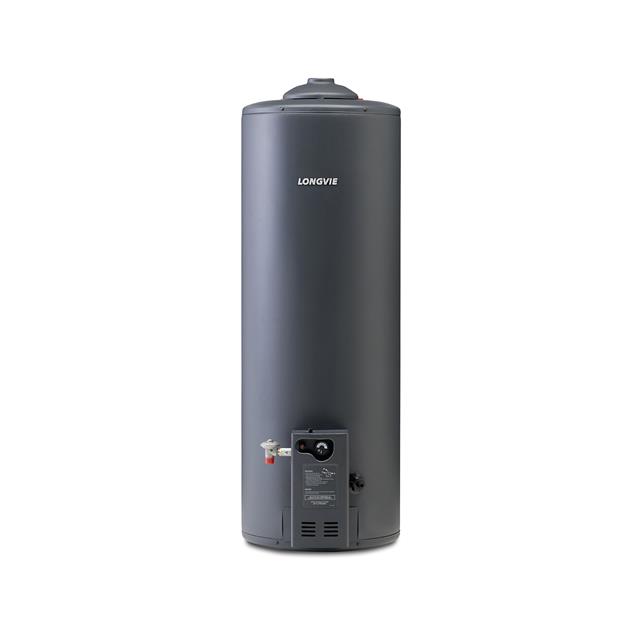 Termotanque Longvie 110 lts Conex Sup (T4110)
