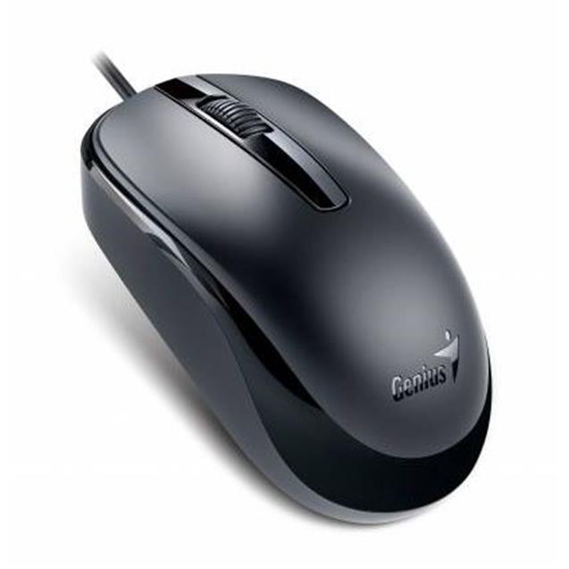 Mouse Genius Usb Black (DX-120)