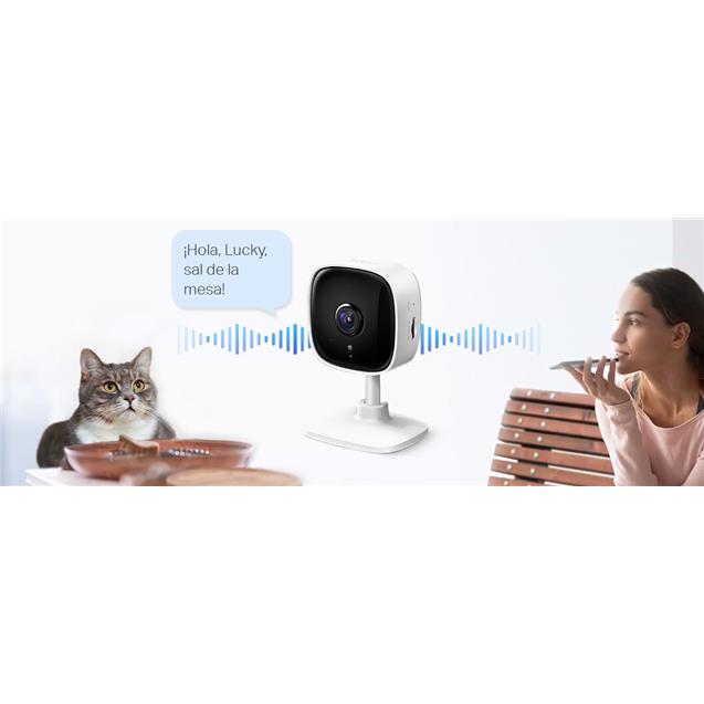 Cámara Seguridad. Tapo C100 Ip Day/Night Sd Wifi