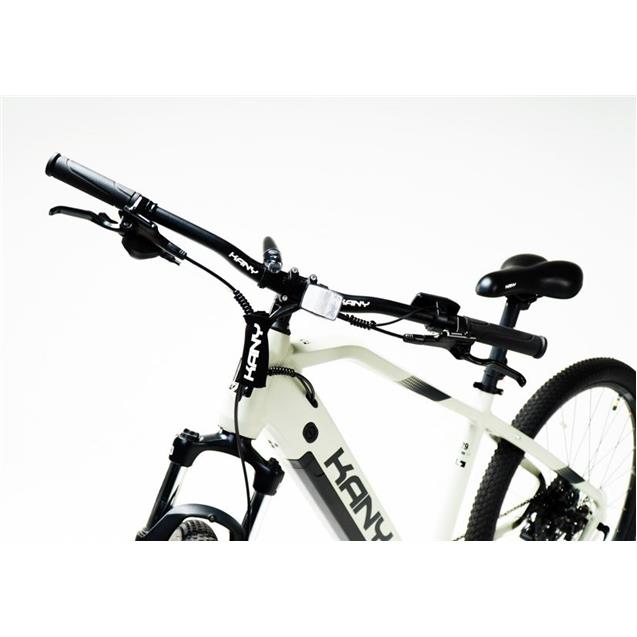 Bicicleta Kany Eléctrica. R29/ 250w/ 25 Km/H F. Disco/ 36v Alum. Gris (EBM290)