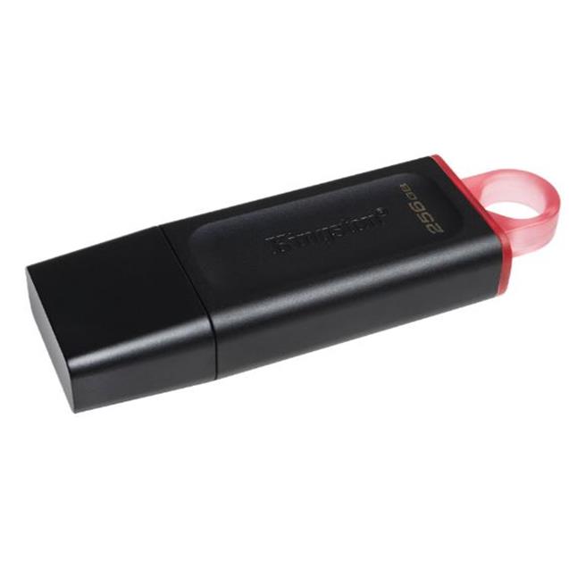 Usb Kingston 3.2 Dtx 256gb (414352)