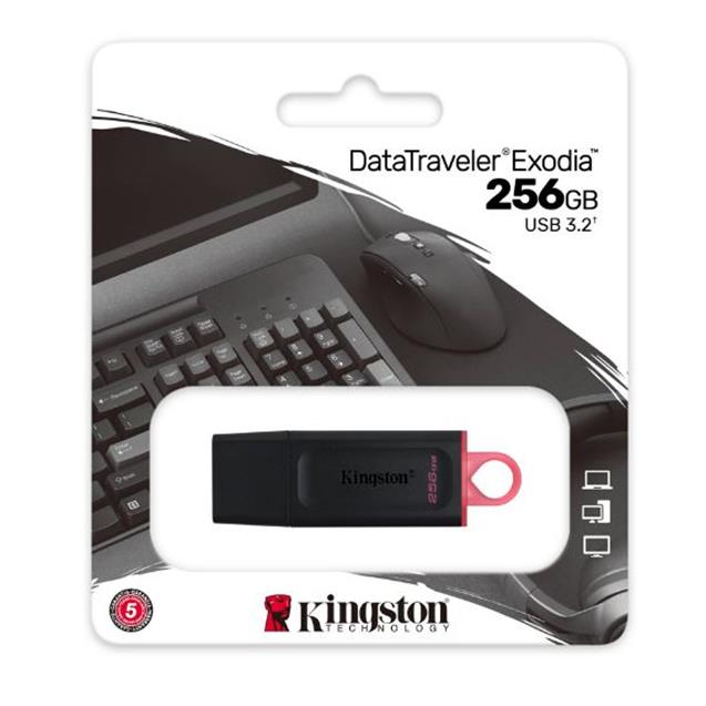 Usb Kingston 3.2 Dtx 256gb (414352)