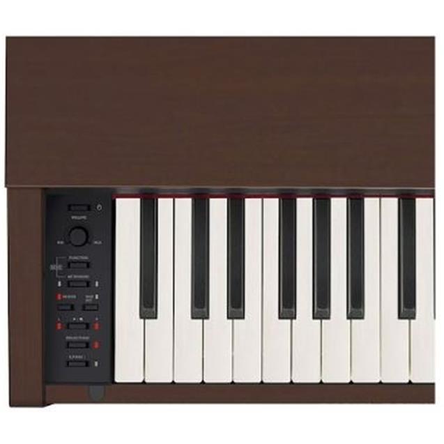 Piano Casio Con Mueble Marrón (PX770BN)