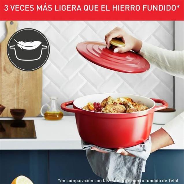 Olla T-Fal Tapa Air Red 24cm (E2544655)