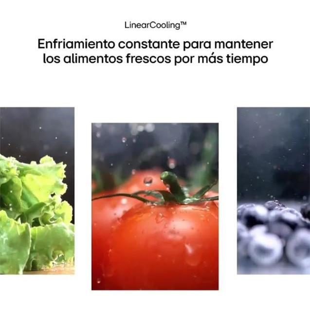 Headera LG Inverter 591 Lts Frenchdoor Smart Plateado (GS66SPP)