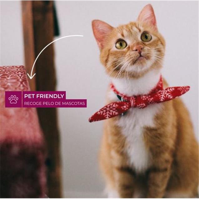 Aspiradora Atma 1300w Ciclónica (AS8920PI)