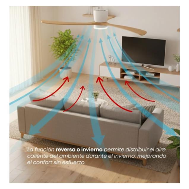 Ventilador De Techo Abon Garden Línea Zentra (AGZ 48 200 BL OS)