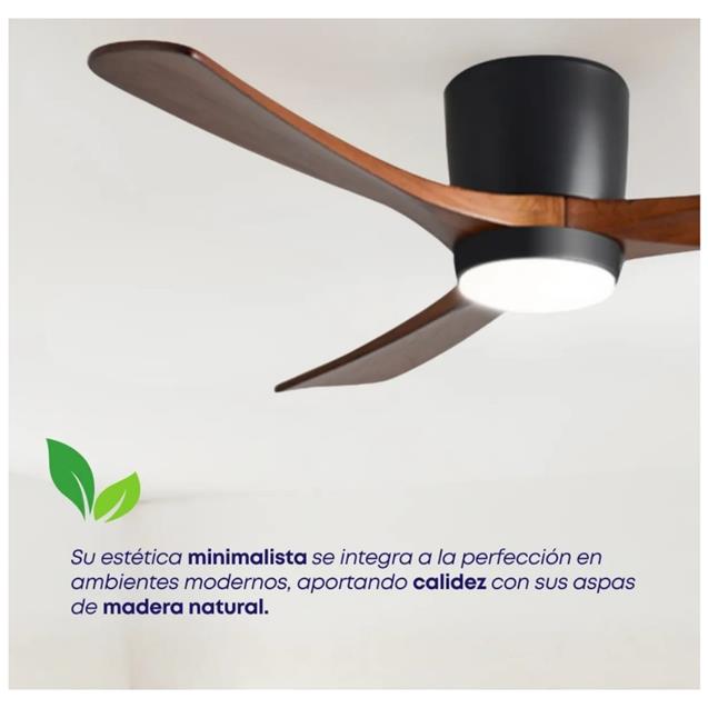 Ventilador De Techo Abon Garden Linea Zentra (AGZ 48 200 NE OS)