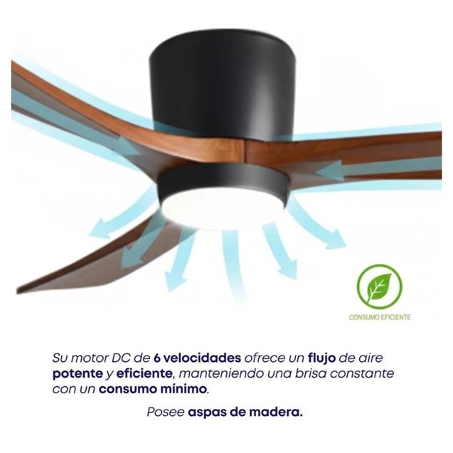 Ventilador De Techo Abon Garden Linea Zentra (AGZ 48 200 NE OS)