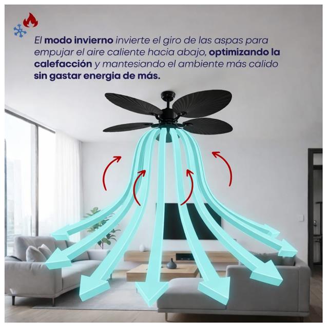 Ventilador De Techo Abon Garden Línea Zentra (AGZ 52 400 - NE)