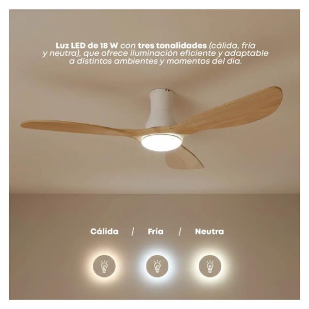 Ventilador De Techo Abon Garden Línea Zentra (AGZ 54 220 - BL CL)