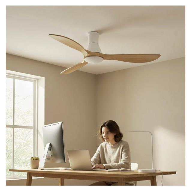 Ventilador De Techo Abon Garden Línea Zentra (AGZ 54 220 - BL CL)