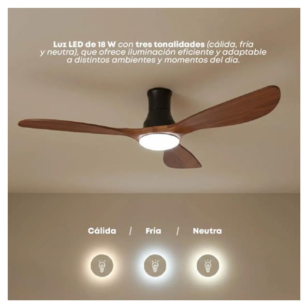 Ventilador De Techo Abon Garden Línea Zentra (AGZ 54 220 - NE OS)