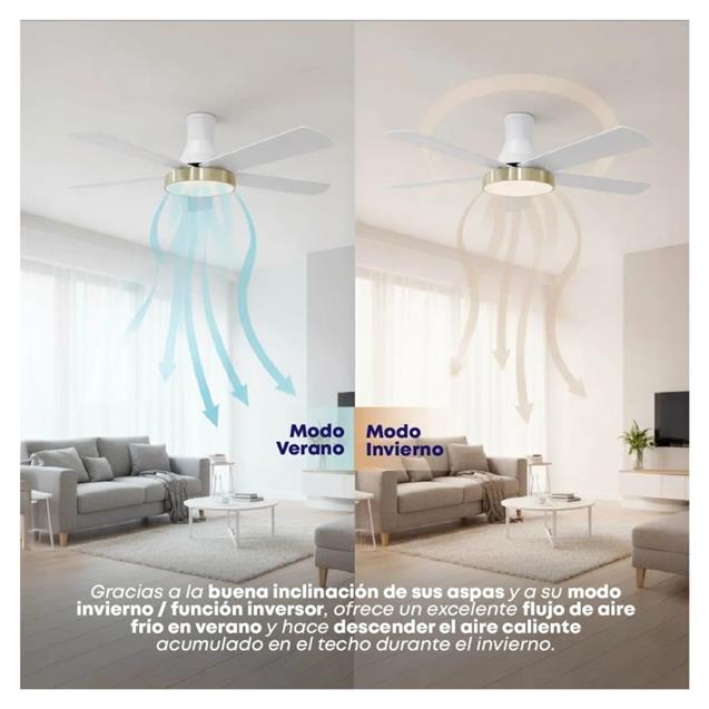 Ventilador De Techo Abon Garden Línea Zentra (AGZ 48 440 – BL)