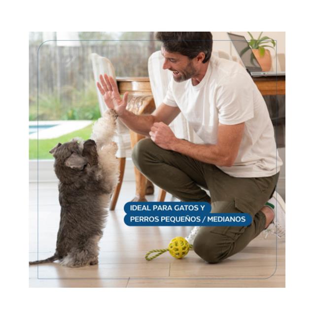 Dispenser Smart Philco con Cámara para Mascotas (PF005CPP)