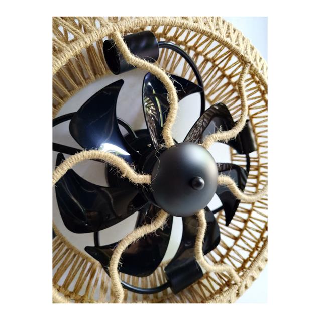 Ventilador De Techo Abon Garden Línea Zentra (AGZ 18 550 – NE)