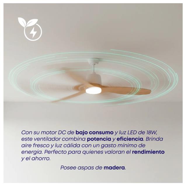 Ventilador De Techo Abon Garden Línea Zentra (AGZ 52 110 - BL CL)