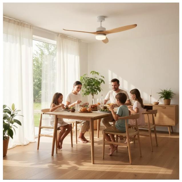 Ventilador De Techo Abon Garden Línea Zentra (AGZ 52 110 - BL CL)