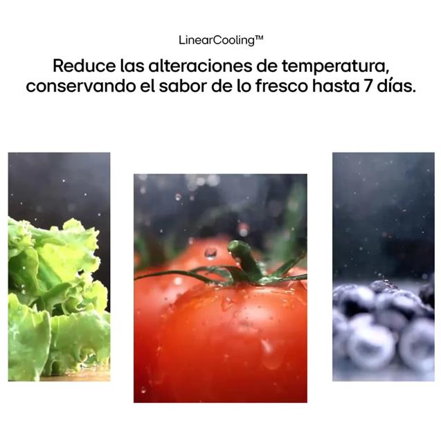 Heladera French Door LG Con Freezer Inverter No Frost 674 Lts Plateado Craft Ice InstaView (GS66SXSC)