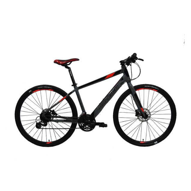 Bicicleta Raleigh Urban 1.1 T21 Gris/Rojo **