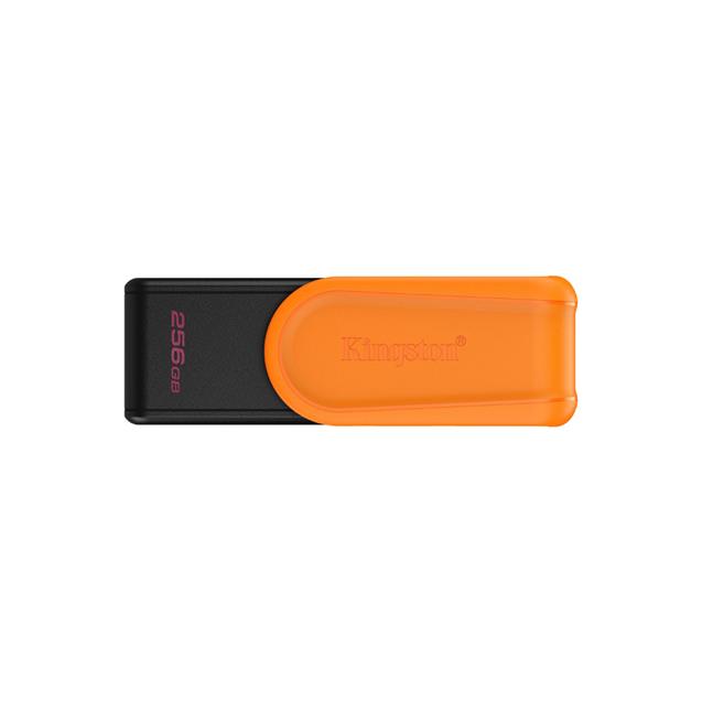 Pendrive Usb Kingston 3.2 Dtxs 256gb  (DTXS/256)