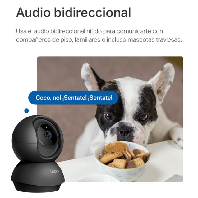 Camara Seguridad Tapo C201 Mov Remoto Day/Night SD Wifi IA Negra (C201)