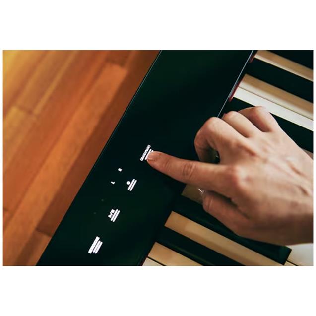 Piano de Escenario Casio (PX-S1100BK)