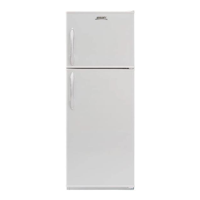 Heladera Briket 250 lts (Bk2f-1310r3)